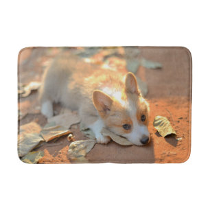 Cutest Baby djur   Shy Corgi Badrumsmatta