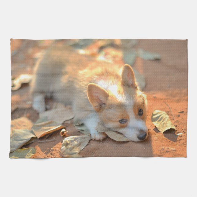 Cutest Baby djur | Shy Corgi Kökshandduk (Horisontell)