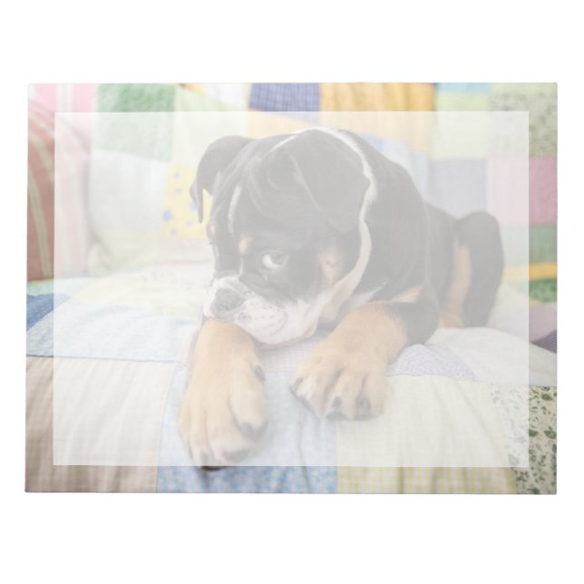 Cutest Baby djur | Shy Old English Bulldog Anteckningsblock (Framsida)