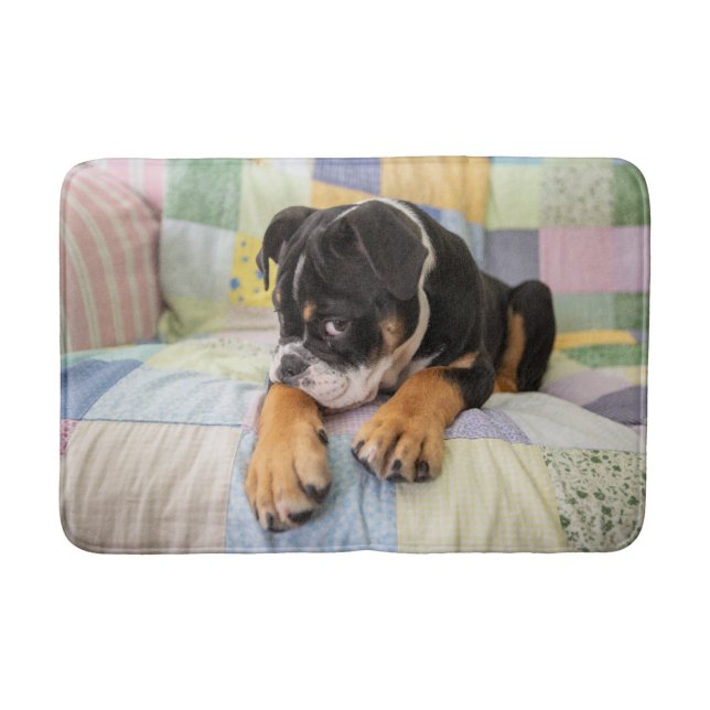 Cutest Baby djur | Shy Old English Bulldog Badrumsmatta (Framsidan)