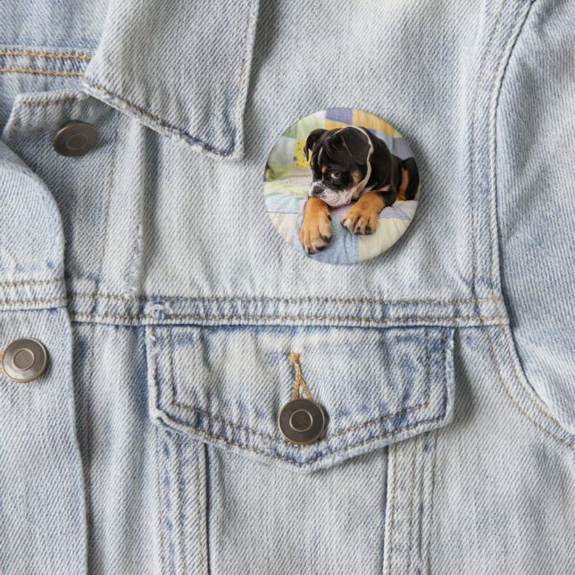 Cutest Baby djur | Shy Old English Bulldog Knapp (In Situ)