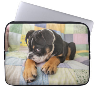 Cutest Baby djur Shy Old English Bulldog Laptop Fodral