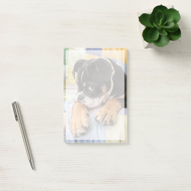 Cutest Baby djur | Shy Old English Bulldog Post-it Block (Kontor)