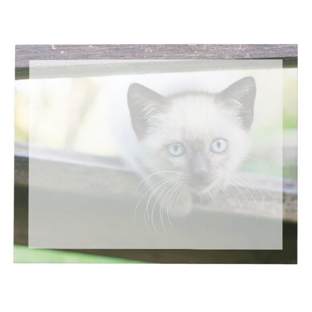Cutest Baby djur | Siamese Kitten 2 Anteckningsblock (Framsida)