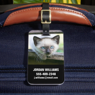 Cutest Baby djur Siamese Kitten 2 Bagagebricka