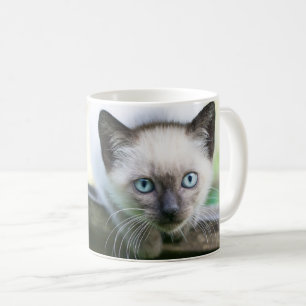 Cutest Baby djur Siamese Kitten 2 Kaffemugg
