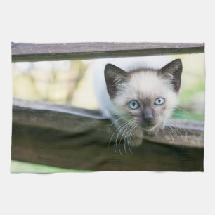 Cutest Baby djur Siamese Kitten 2 Kökshandduk