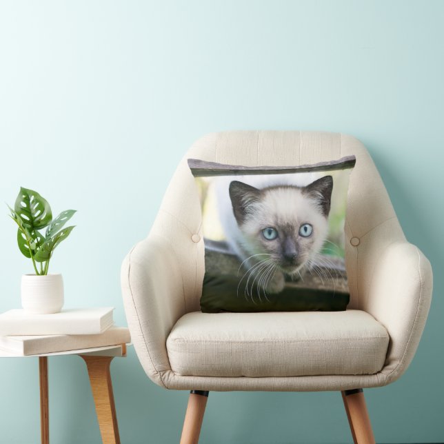 Cutest Baby djur | Siamese Kitten 2 Kudde (Stol)