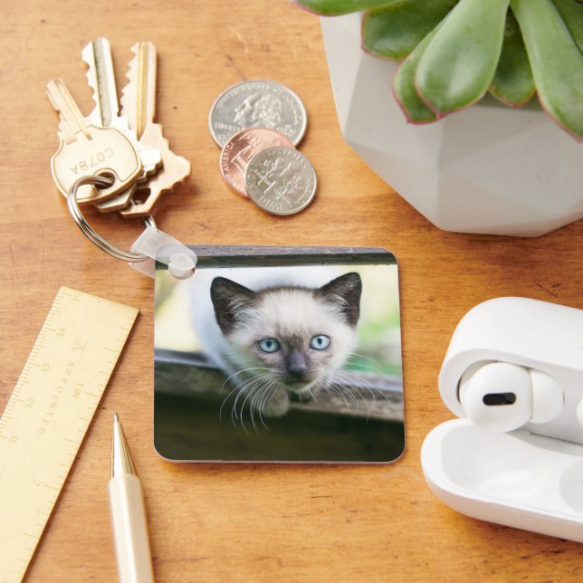 Cutest Baby djur | Siamese Kitten 2 Nyckelring (Skrivbord)