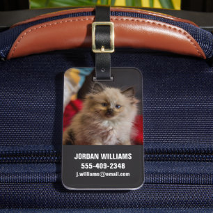 Cutest Baby djur   Siamese Kitten Bagagebricka