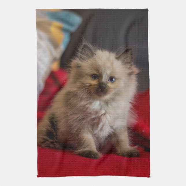 Cutest Baby djur | Siamese Kitten Kökshandduk (Vertikal)