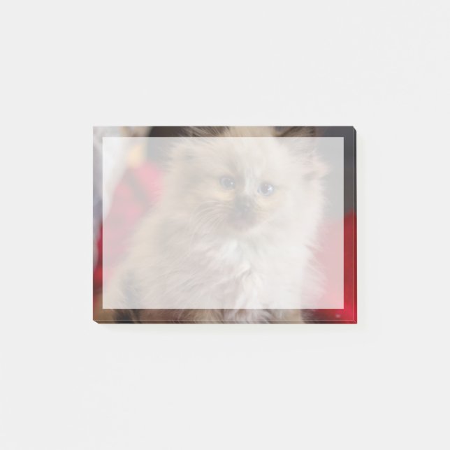 Cutest Baby djur | Siamese Kitten Post-it Block (Framsida)