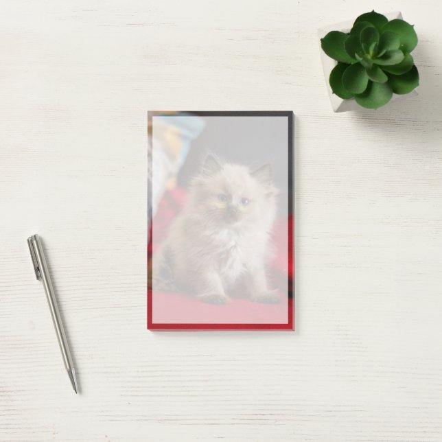 Cutest Baby djur | Siamese Kitten Post-it Block (Kontor)