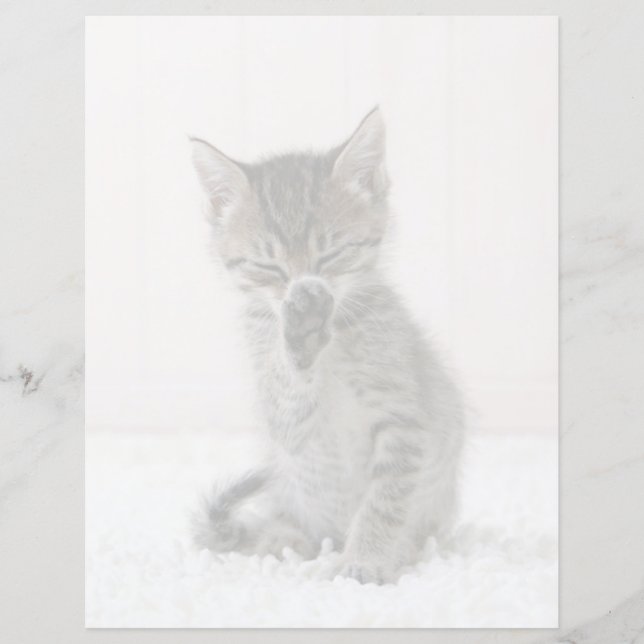 Cutest Baby djur | Slickar Tabby Kitten (Framsida)