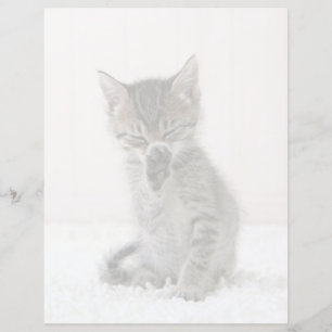 Cutest Baby djur Slickar Tabby Kitten