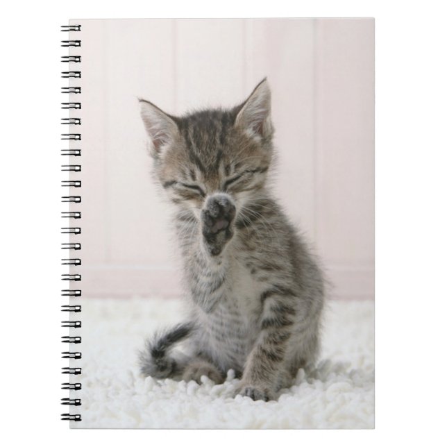 Cutest Baby djur | Slickar Tabby Kitten Anteckningsbok (Framsidan)