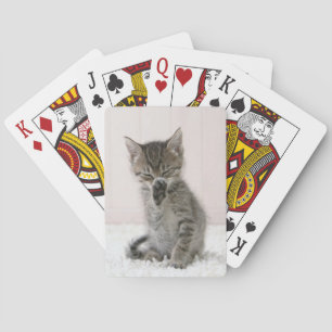Cutest Baby djur Slickar Tabby Kitten Casinokort