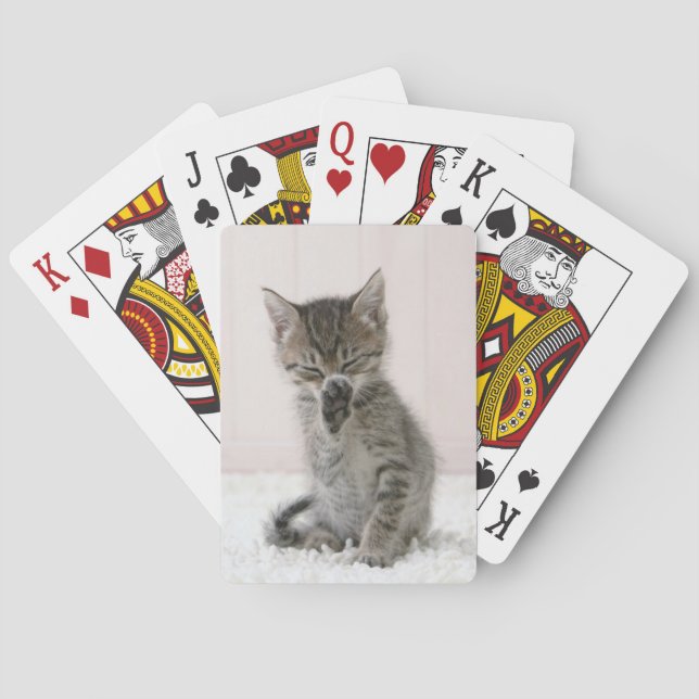 Cutest Baby djur | Slickar Tabby Kitten Casinokort (Baksidan)