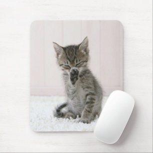 Cutest Baby djur Slickar Tabby Kitten Musmatta