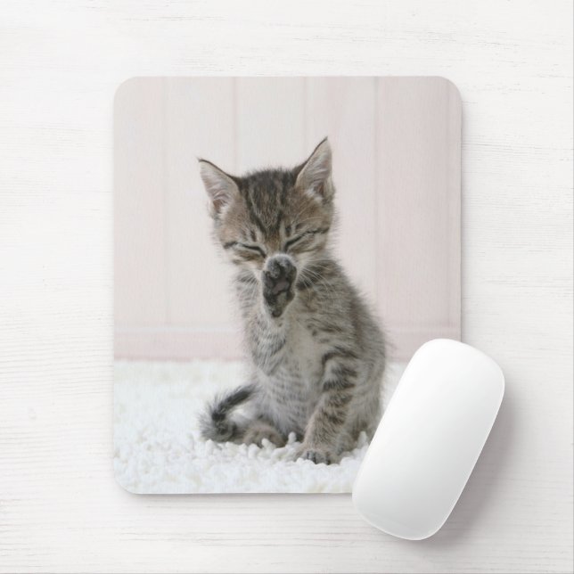 Cutest Baby djur | Slickar Tabby Kitten Musmatta (Med mus)