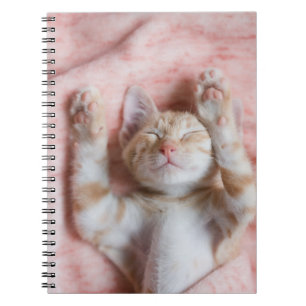 Cutest Baby djur Smal Orange Strepe Kitten Anteckningsbok