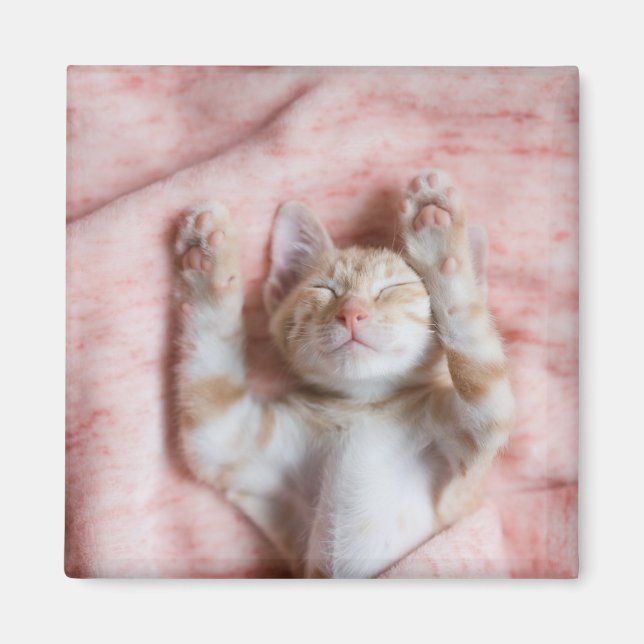 Cutest Baby djur | Smal Orange Strepe Kitten Magnet (Framsidan)