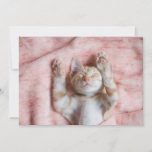 Cutest Baby djur   Smal Orange Strepe Kitten Tack Kort