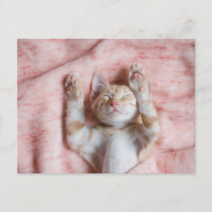 Cutest Baby djur   Smal Orange Strepe Kitten Vykort