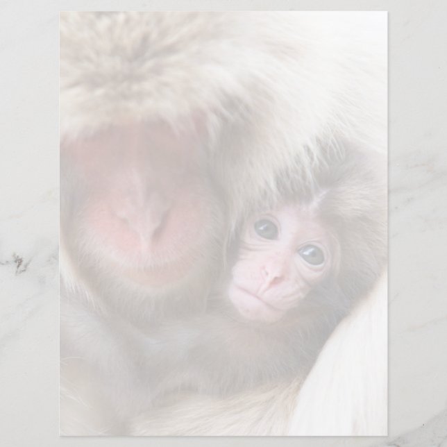 Cutest Baby djur | Snö Monkey (Framsida)