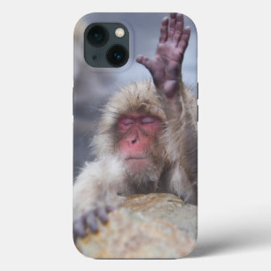 Cutest Baby djur Snö Monkey Ansikte