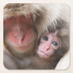 Cutest Baby djur Snö Monkey Underlägg Papper Kvadrat