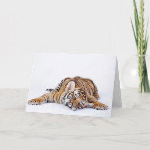 Cutest Baby djur Sömnig Baby Tiger Unge Kort