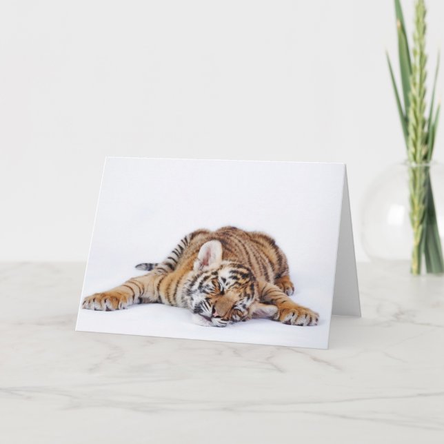 Cutest Baby djur | Sömnig Baby Tiger Unge Kort (Framsida)