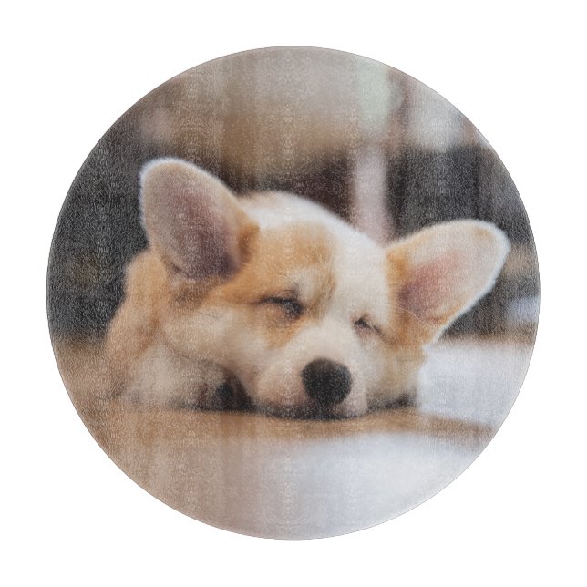 Cutest Baby djur | Sömnig Corgi (Framsidan)