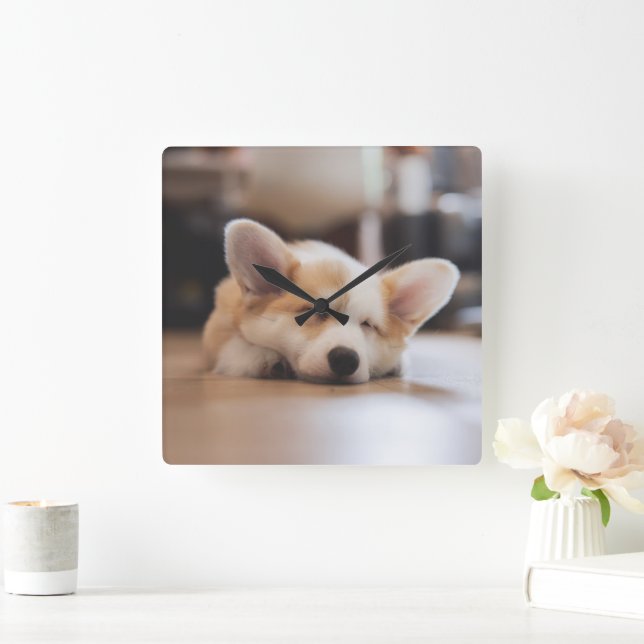 Cutest Baby djur | Sömnig Corgi Fyrkantig Klocka (Hem)