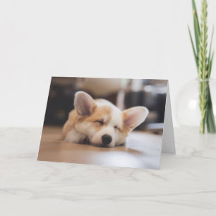 Cutest Baby djur Sömnig Corgi Kort