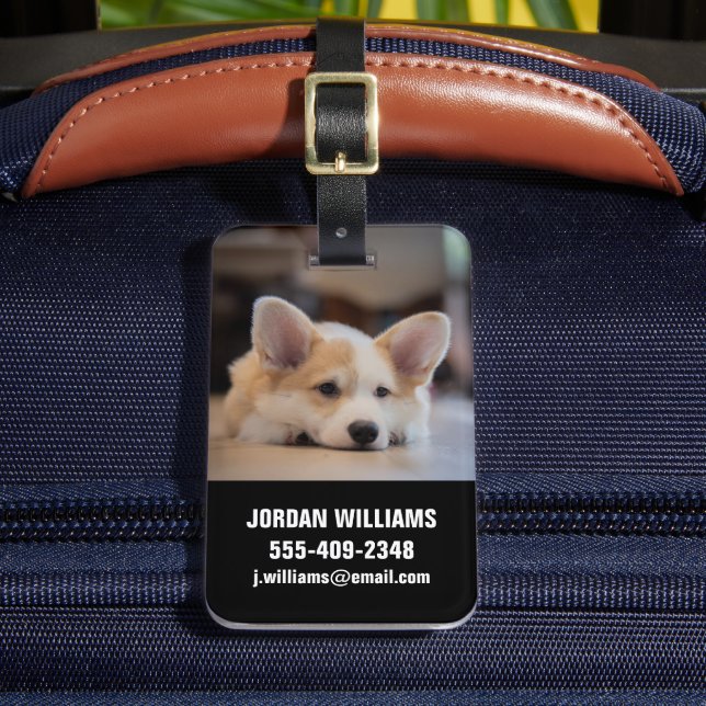 Cutest Baby djur | Sömnig Corgi Puppy Bagagebricka (Framsida Insitu 2)