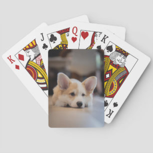 Cutest Baby djur   Sömnig Corgi Puppy Casinokort
