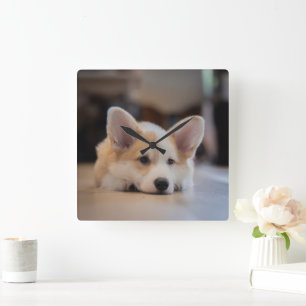 Cutest Baby djur Sömnig Corgi Puppy Fyrkantig Klocka