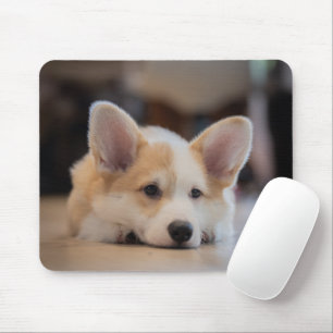 Cutest Baby djur Sömnig Corgi Puppy Musmatta