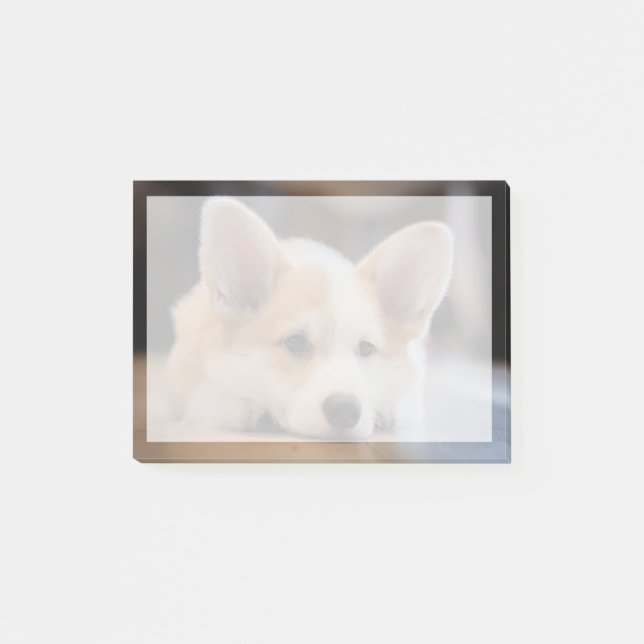 Cutest Baby djur | Sömnig Corgi Puppy Post-it Block (Framsida)
