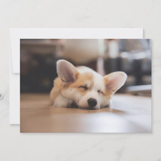 Cutest Baby djur | Sömnig Corgi Tack Kort (Framsida)