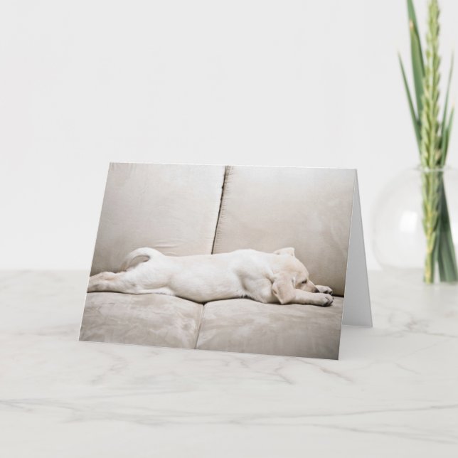 Cutest Baby djur | Sömnig Gult Labour Puppy Kort (Framsida)