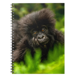 Cutest Baby djur Spädbarnsberg Gorilla Anteckningsbok