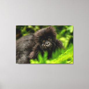 Cutest Baby djur Spädbarnsberg Gorilla Canvastryck