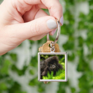 Cutest Baby djur   Spädbarnsberg Gorilla Fyrkantig Silverfärgad Nyckelring