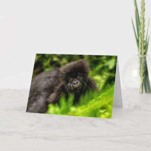 Cutest Baby djur Spädbarnsberg Gorilla Kort