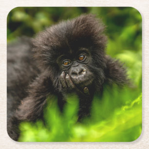 Cutest Baby djur Spädbarnsberg Gorilla Underlägg Papper Kvadrat