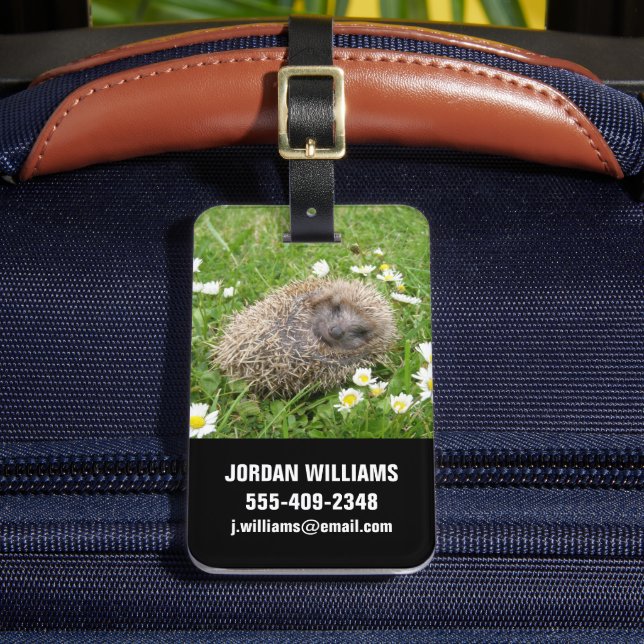 Cutest Baby djur | Spanska Hedgehog Bagagebricka (Framsida Insitu 2)