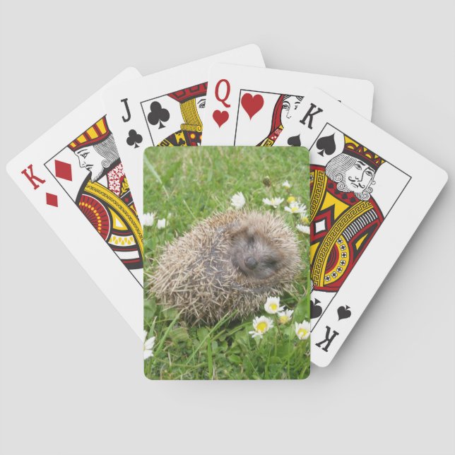 Cutest Baby djur | Spanska Hedgehog Casinokort (Baksidan)